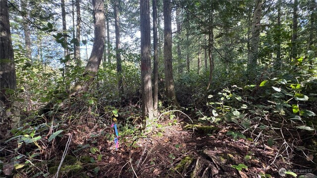 64 Doe Pl, Sequim, WA 98383