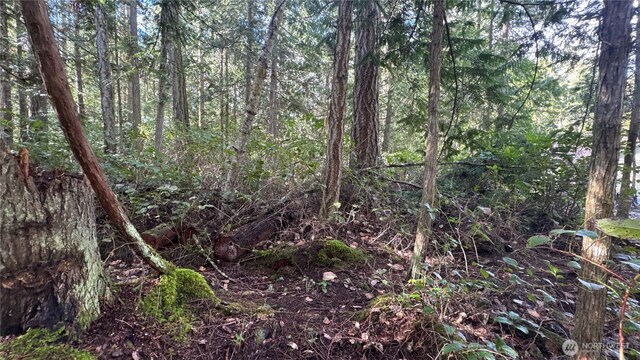 64 Doe Pl, Sequim, WA 98383