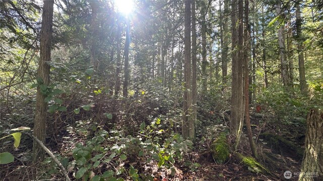 64 Doe Pl, Sequim, WA 98383