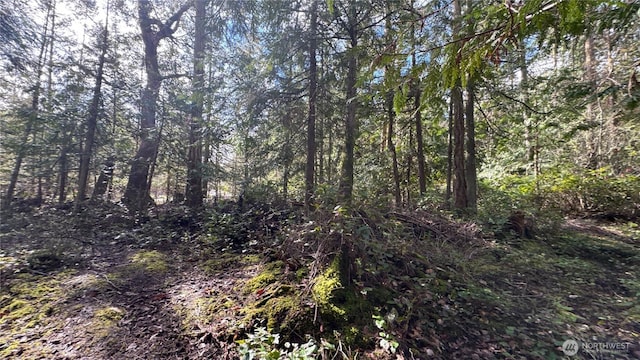 64 Doe Pl, Sequim, WA 98383