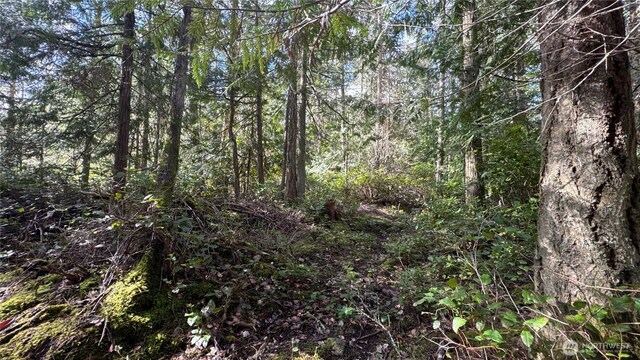 64 Doe Pl, Sequim, WA 98383