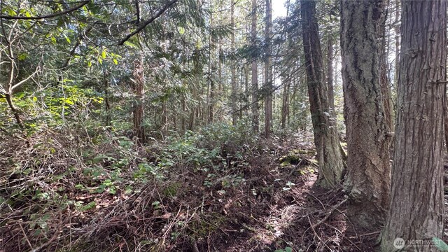 64 Doe Pl, Sequim, WA 98383