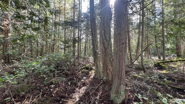 64 Doe Pl, Sequim, WA 98383