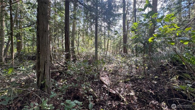 64 Doe Pl, Sequim, WA 98383