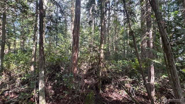 64 Doe Pl, Sequim, WA 98383
