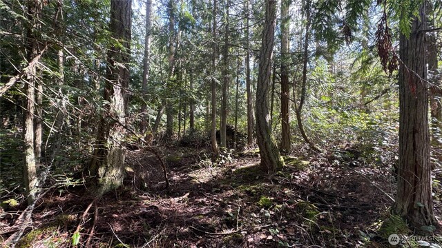 64 Doe Pl, Sequim, WA 98383