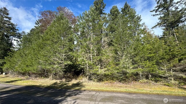 64 Doe Pl, Sequim, WA 98383
