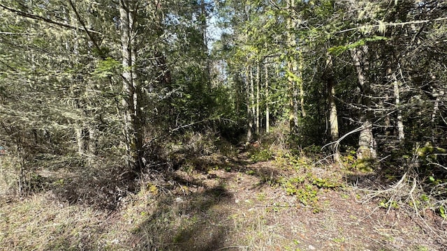 64 Doe Pl, Sequim, WA 98383