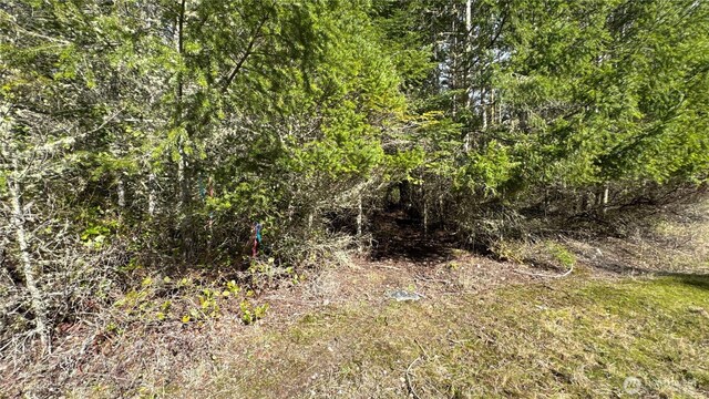 64 Doe Pl, Sequim, WA 98383