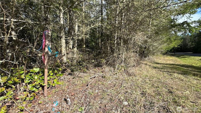 64 Doe Pl, Sequim, WA 98383