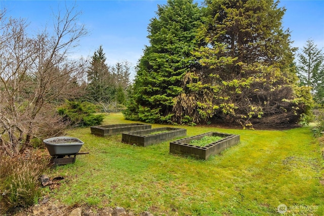 view of yard with a vegetable garden