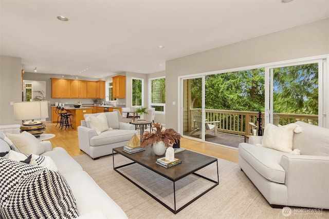 living area with recessed lighting and light wood-style floors