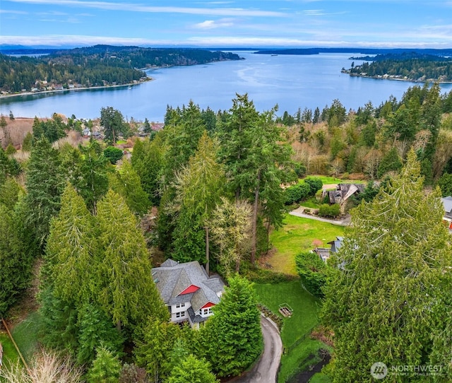 aerial view featuring a wooded view and a water view