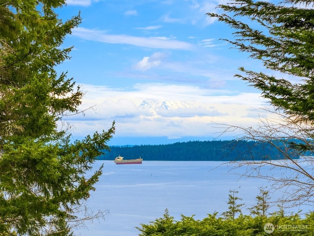 water view featuring a view of trees