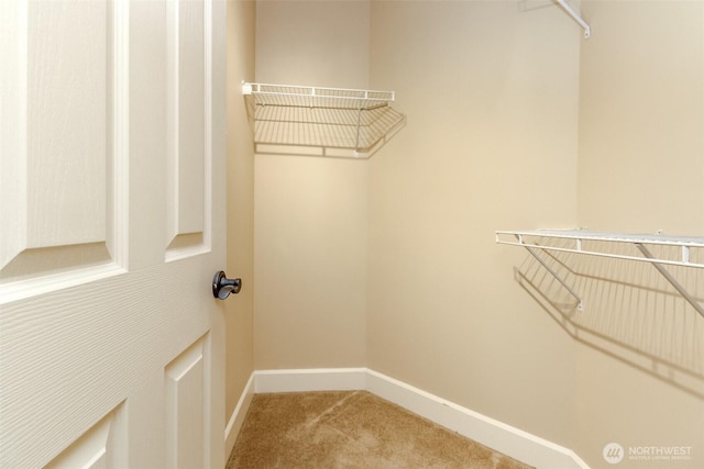 walk in closet featuring carpet flooring