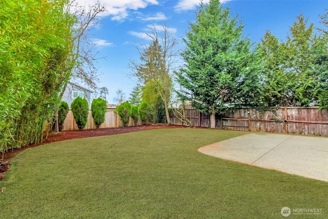 view of yard with a patio and a fenced backyard