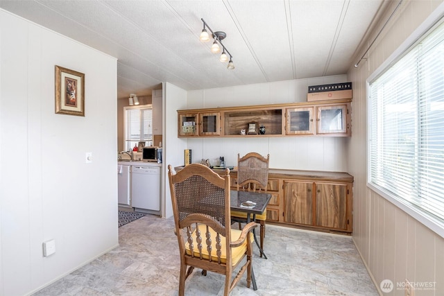 dining room with plenty of natural light