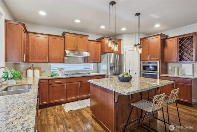 kitchen featuring a sink, appliances with stainless steel finishes, dark wood-style floors, and under cabinet range hood