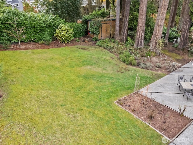 view of yard featuring a patio area