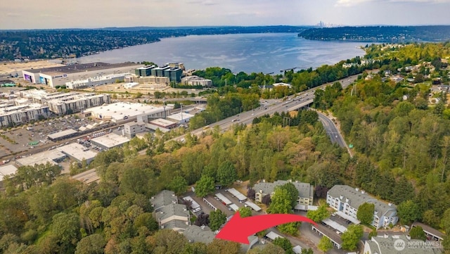 975 Aberdeen Ave NE Unit F407, Renton, WA 98056 - bird's eye view with a water view and a view of trees