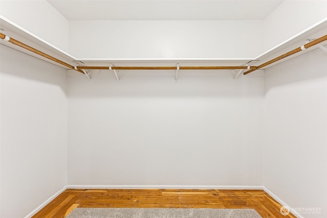 spacious closet featuring wood finished floors