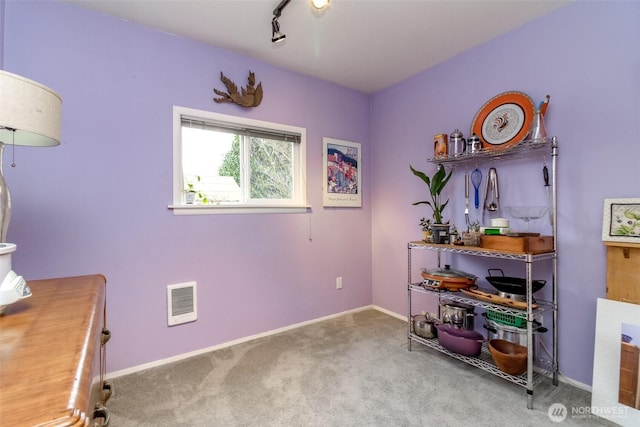 2029 S 7th St, Tacoma, WA 98405 - misc room with rail lighting, carpet flooring, baseboards, and visible vents