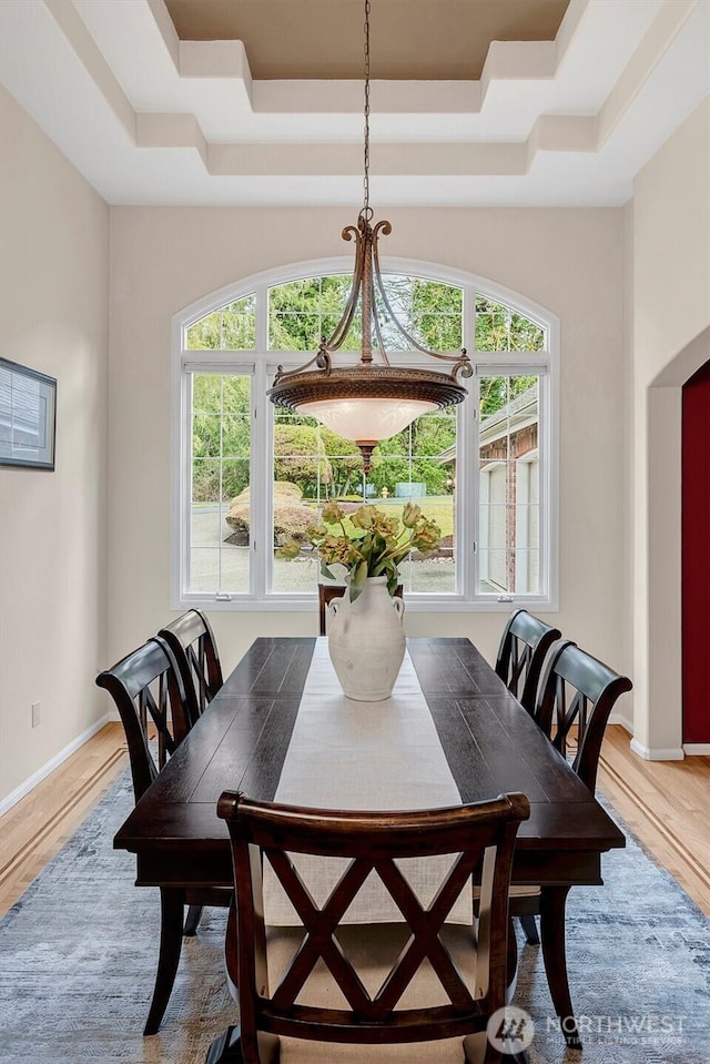 dining area with a wealth of natural light, baseboards, a raised ceiling, and wood finished floors