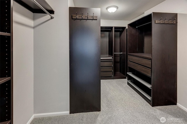 walk in closet featuring carpet