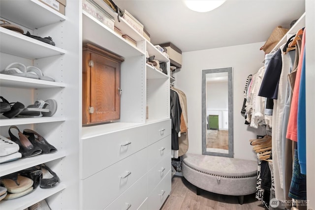 spacious closet featuring light wood-style floors