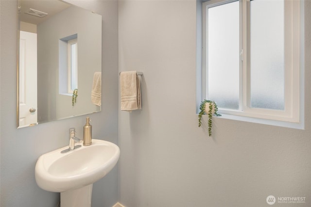 bathroom featuring visible vents and a sink