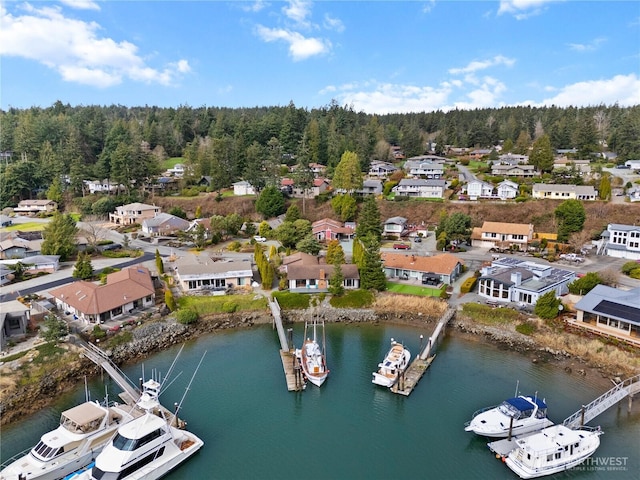 bird's eye view with a view of trees and a water view