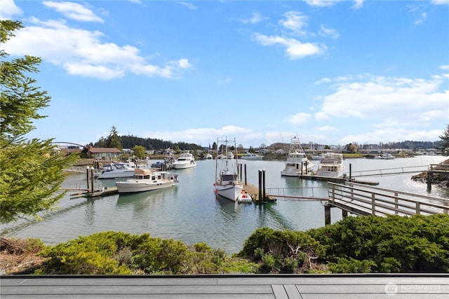 dock area featuring a water view