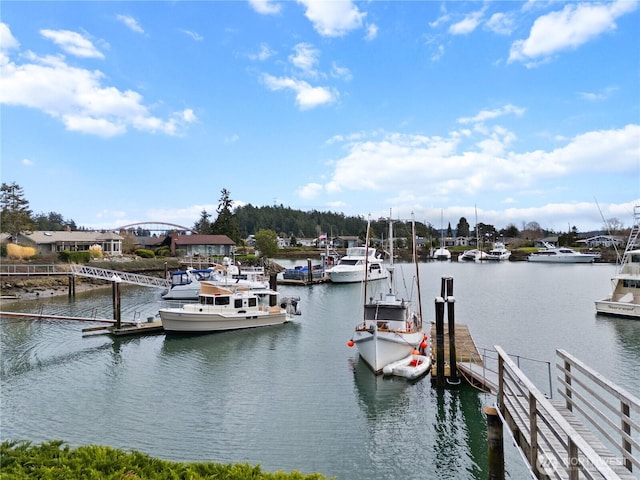 dock area with a water view