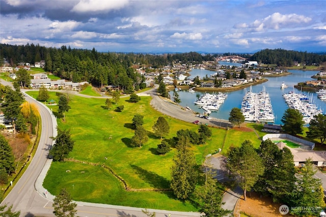 birds eye view of property with a water view