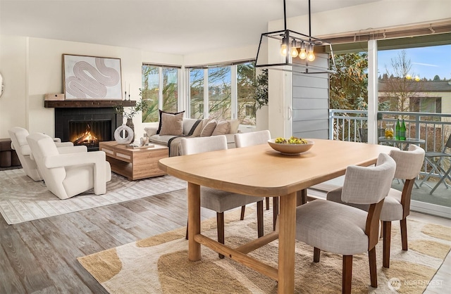 dining area with plenty of natural light, wood finished floors, and a lit fireplace