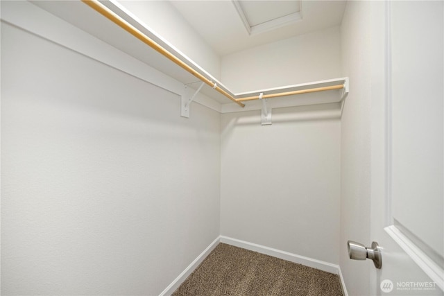 walk in closet with attic access and carpet floors