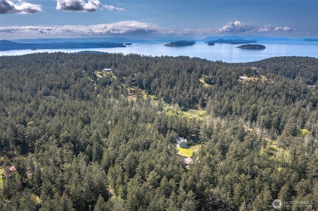 drone / aerial view of a forest and a large body of water