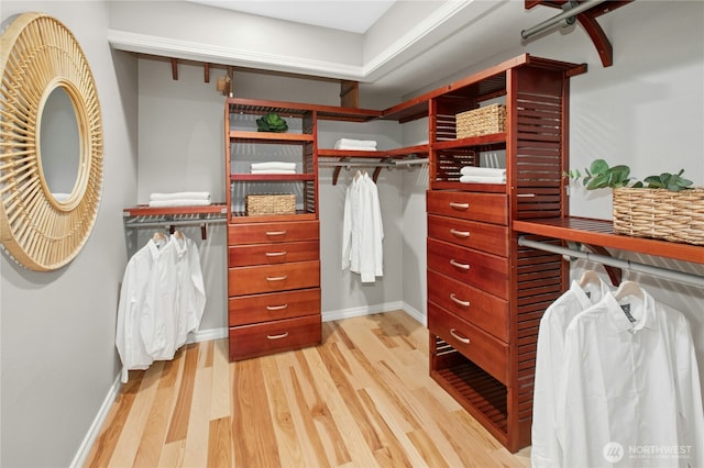 walk in closet featuring light wood-type flooring