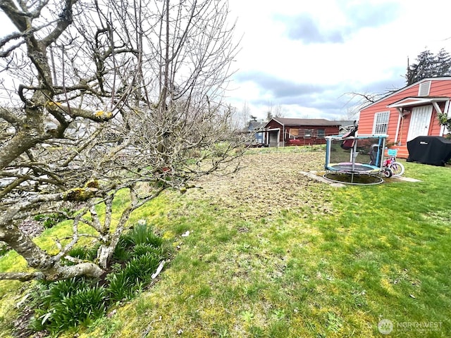 view of yard featuring a trampoline