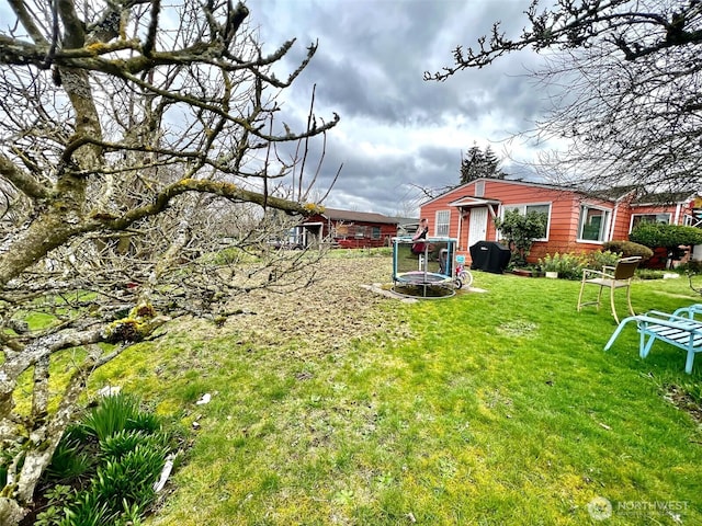 view of yard with a trampoline