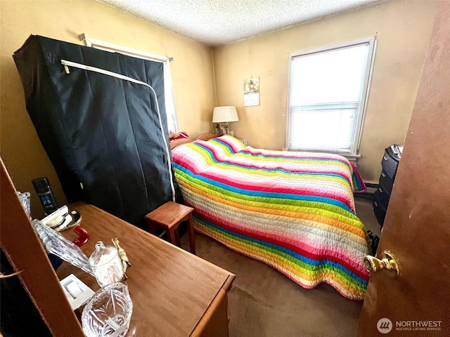 bedroom featuring a textured ceiling