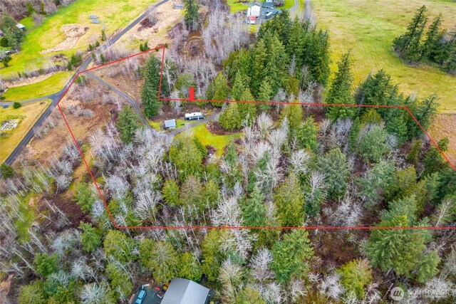 4858 Lilly Ln, Bellingham WA, 98226 land for sale