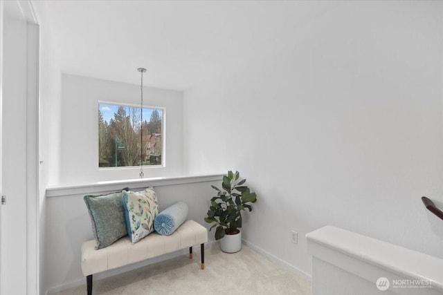 living area featuring baseboards and carpet floors