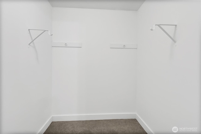 spacious closet with carpet