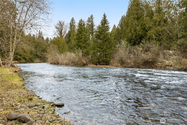 property view of water with a wooded view