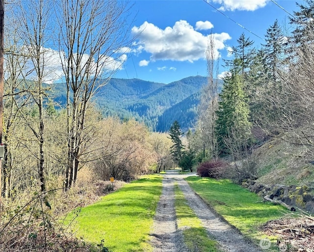 7011 272nd Ave SE, Issaquah WA, 98027 land for sale