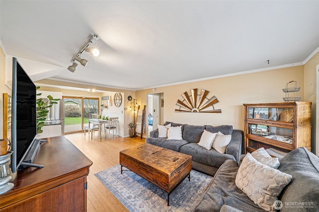 living area featuring hardwood / wood-style flooring, crown molding, and track lighting