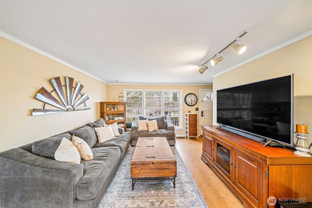 living room featuring track lighting, light wood-style flooring, and ornamental molding