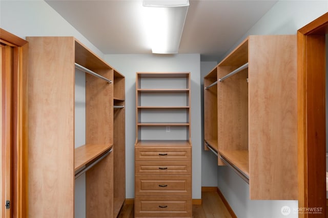 6065 Central Ave, Anacortes, WA 98221 - view of spacious closet