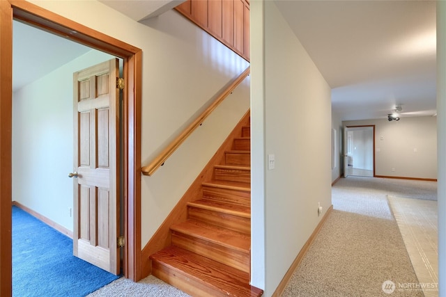 6065 Central Ave, Anacortes, WA 98221 - stairs with baseboards and carpet flooring